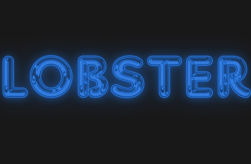 The Complete Guide to LobsterTube: An In-Depth Exploration